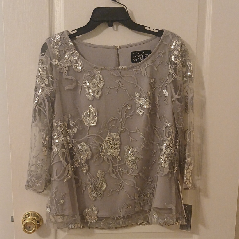 Alex Evenings Silver Embroidered Blouse